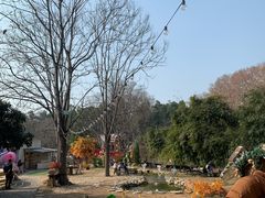 -HERRE·FARM 赫尔露营农场·团建聚会包场