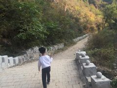 -九龙潭景区