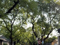 -北京国子监胡同
