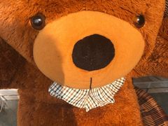 -何适山庄 ·可团建(水长城P2停车场店)