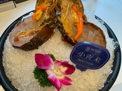 -海月轩海鲜豆捞(紫金塔店)