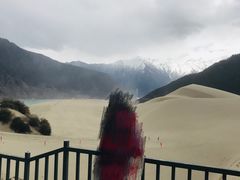 -佛掌沙丘