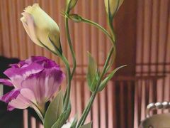 -揽季锅物会·海鲜姿造(五四路店)
