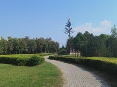 -西安浐灞国家湿地公园