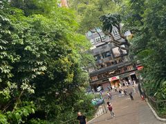 -九龙公园