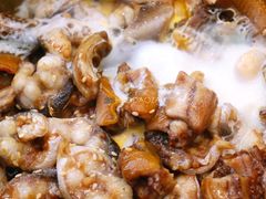 -红星光发煲仔饭(文海店)