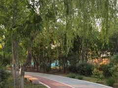 -绿堤公园