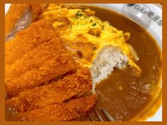 -CoCo壱番屋