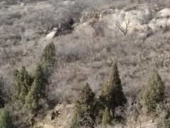 -白水寺森林公园