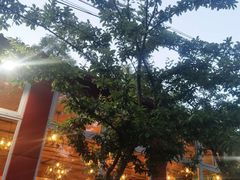 -荣德灶台鱼(圣泉寺店)