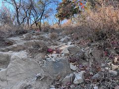 -北京西山国家森林公园