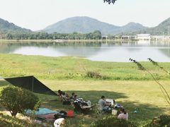 -风云岭森林公园
