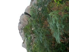android_upload_pic-洋山深水港