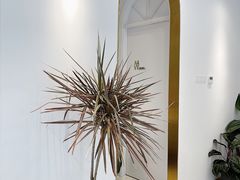 -Fridi Patisserie Cafe