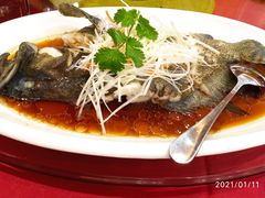 -鸿鑫海鲜楼(建联店)