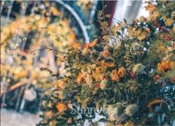 -Sunny喜铺婚礼策划(东部店)