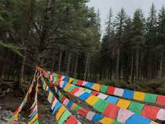 -硗碛藏寨·神木垒景区