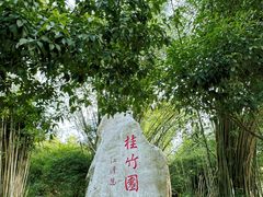-潜山国家森林公园