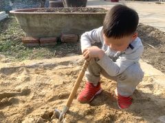 -樂桃源奉贤黄桃种植采摘基地