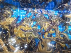 -前王院•巧克力海鲜市集餐厅(万平口店)