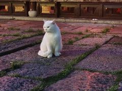 -衣裳街历史文化街区