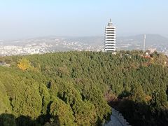 -原山国家森林公园