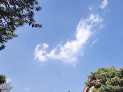 -泰山风景名胜区