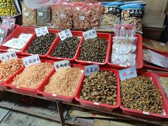 -大湾区中央湿地公园-十九涌