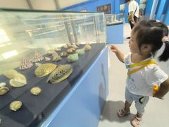 -上海海洋大学鱼文化博物馆(军工路校区)