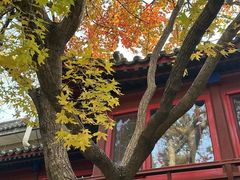 -大觉寺-停车场