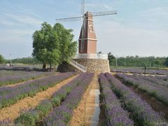 薰衣草庄园-渔岛海洋度假区