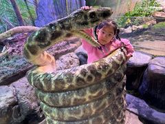 -正佳雨林生态植物园