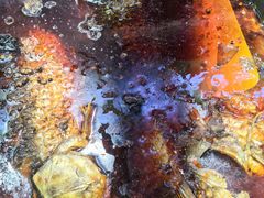 -紫光园·烤鸭(吕家营店)