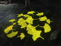 -多彩贵州城极地海洋世界