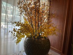 -八府香鸭·啫啫煲(华山路店)