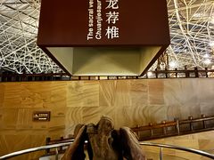 -世界恐龙谷景区