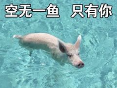-吉庆莲年有鱼炭烤鱼(苏宁广场店)