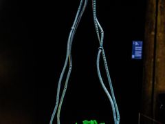 -现代汽车文化中心 Hyundai Motorstudio Beijing