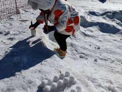 -绿野森林乐园冰雪季