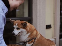 -星巴克(郑州普罗旺世店)