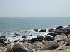 -广东惠东海龟国家级自然保护区