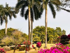 -南宁南湖公园