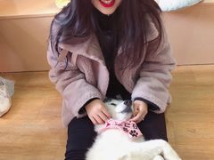 -Husky Go! 哈士奇体验馆·宠物咖啡厅狗咖
