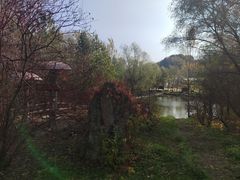 -玉泉威虎山森林公园