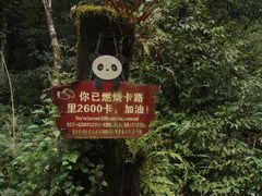 -西岭雪山大飞水景区