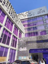 -深圳美莱医疗美容医院