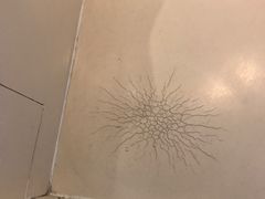 -三亚亚龙湾雅高美爵酒店