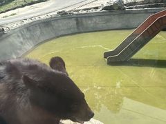 -栾川竹海野生动物园