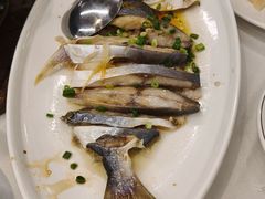-渔意楼·驰名沙田乳鸽(五羊店)