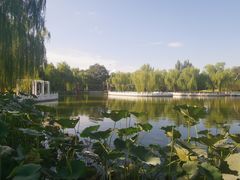 -丰台花园